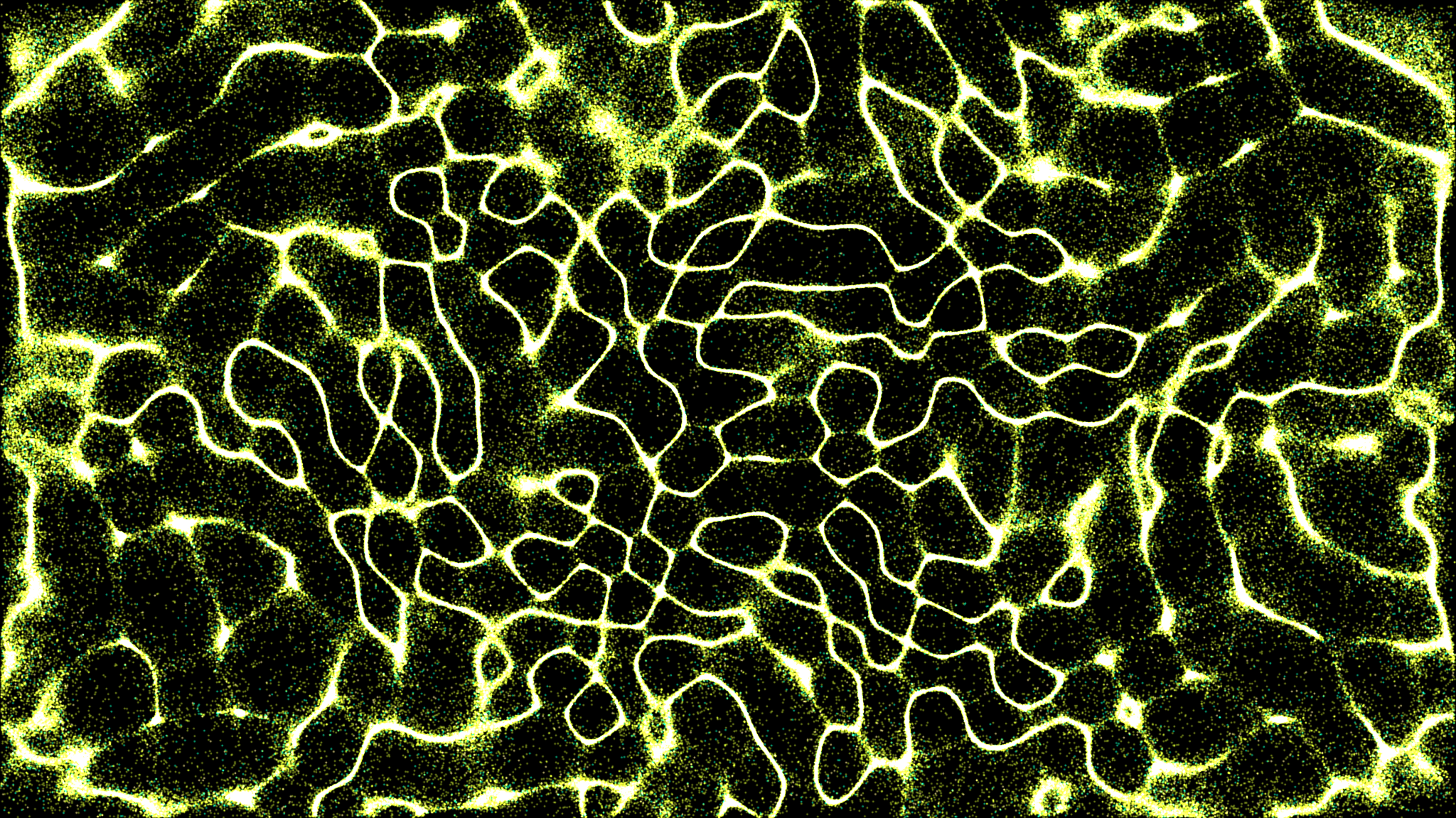 The Signal Is as Important as the Capital